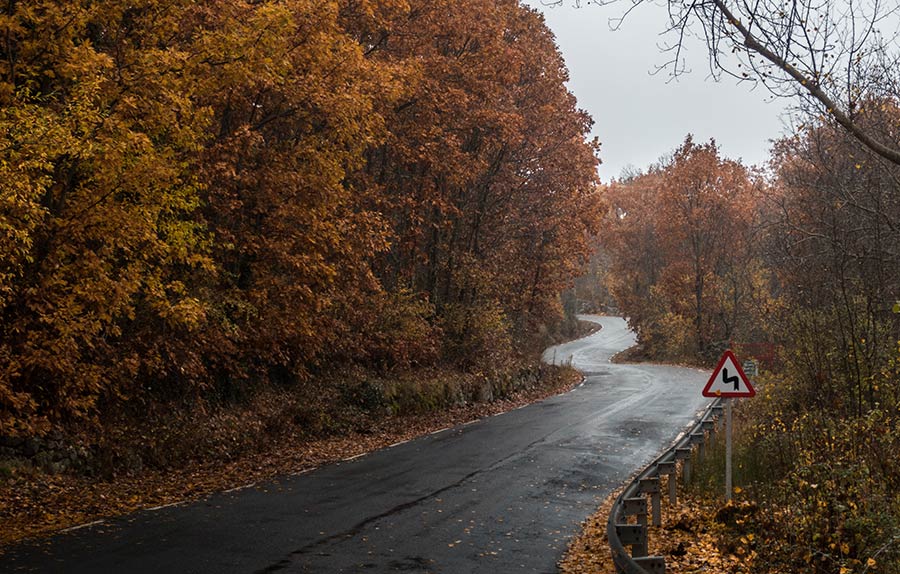 route mouillée en automne, sécurité routière